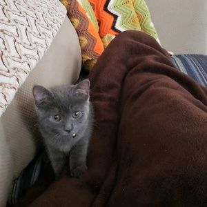 Meet your Posher, Linda